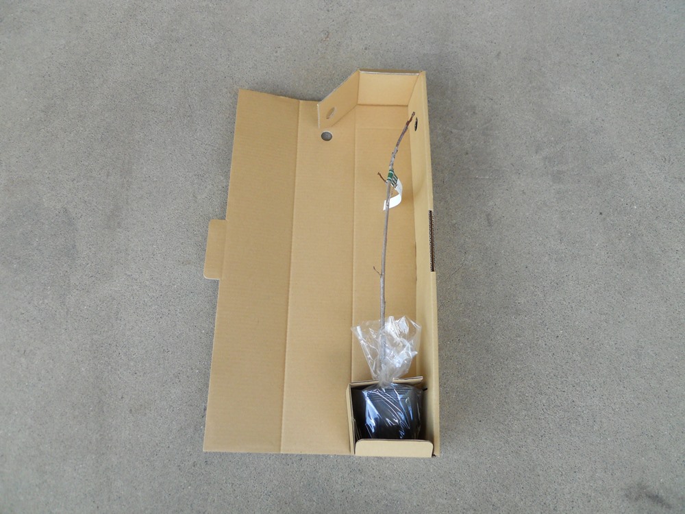 商品の受け渡し・梱包