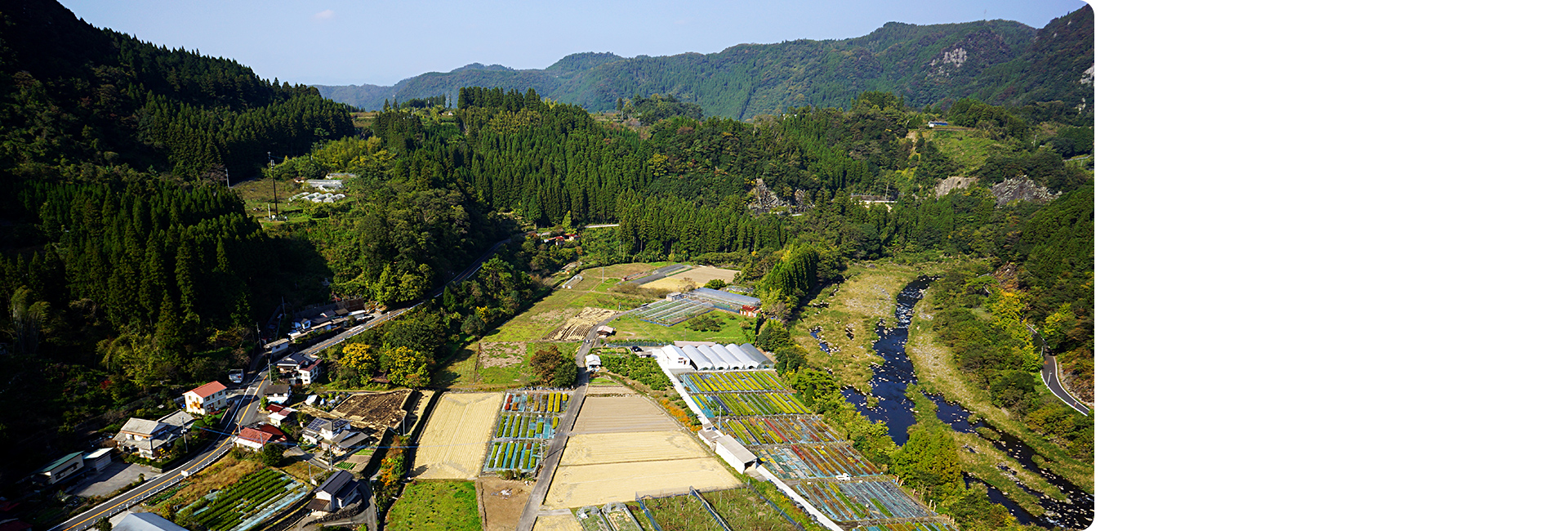すべての樹木に、 真心を込めて。