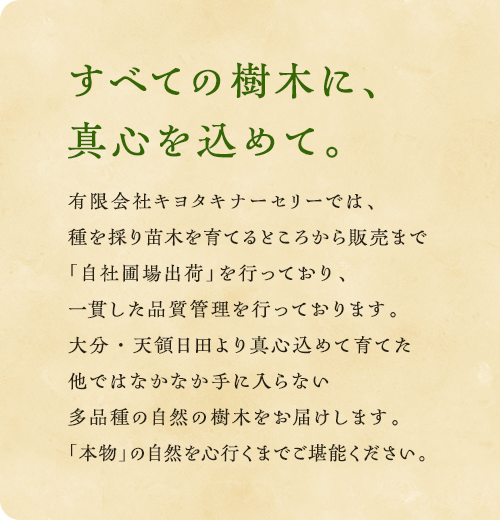 すべての樹木に、 真心を込めて。 有限会社キヨタキナーセリーでは、種を採り苗木を育てるところから販売まで「自社圃場出荷」を行っており、一貫した品質管理を行っております。大分・天領日田より真心込めて育てた他ではなかなか手に入らない多品種の自然の樹木をお届けします。「本物」の自然を心行くまでご堪能ください。