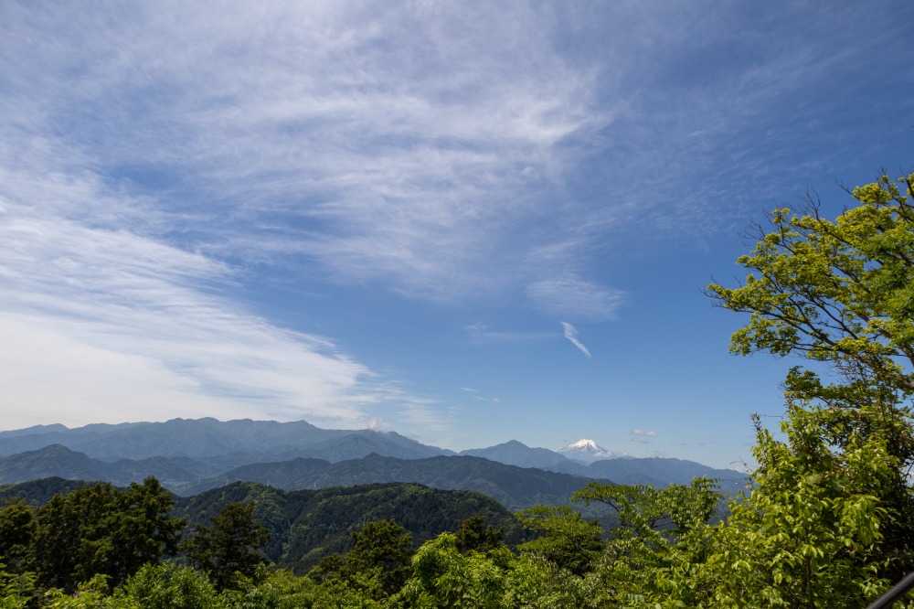 地域や文化など自然環境に配慮した植林用樹種生産への取り組み